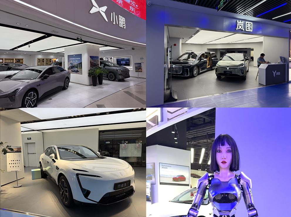2025EV